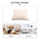 thumbnail image 4 of Home Decorative Lisse Velvet Pillowcase for Indoor Use, 4 of 4