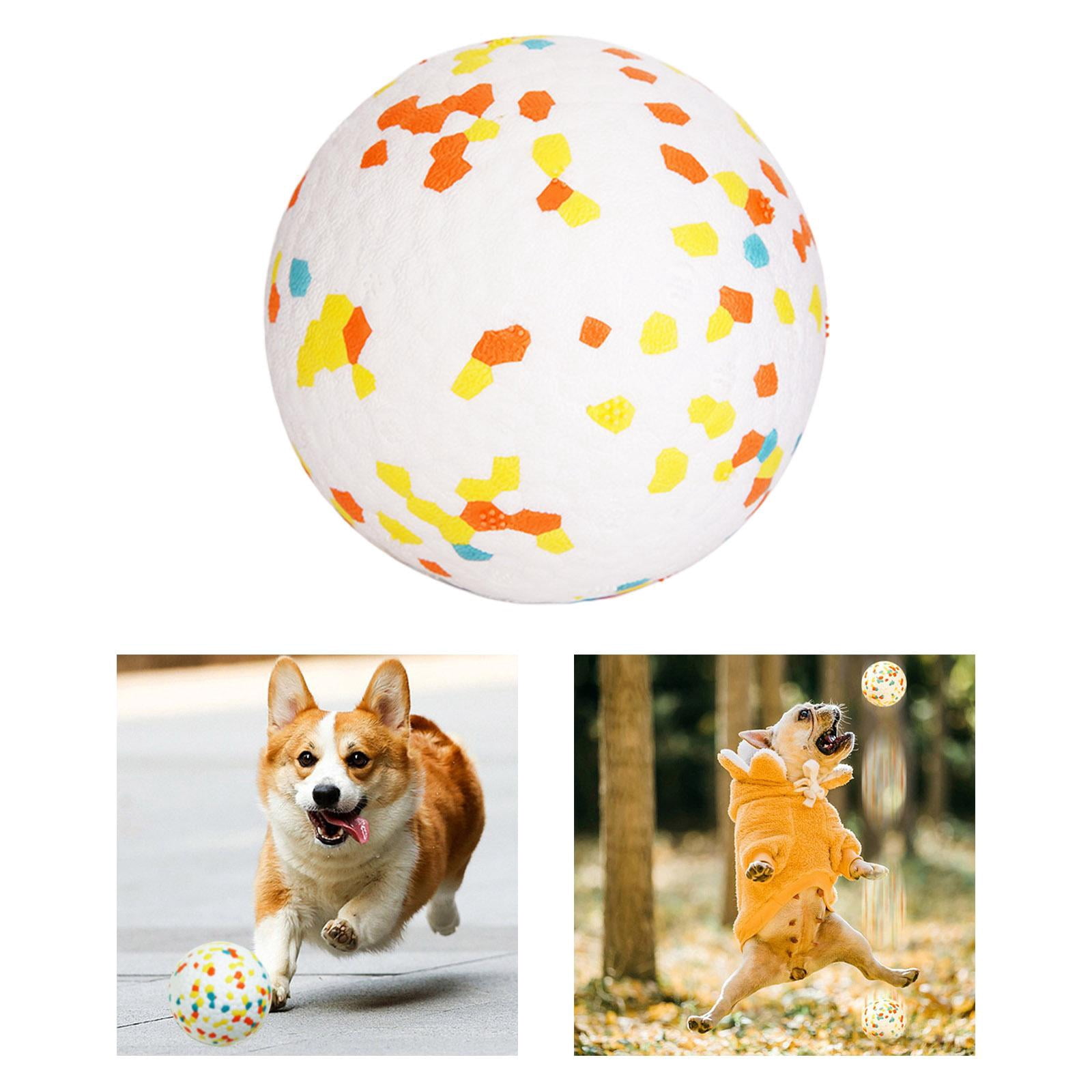 Squeaky Dog Chewers Large Medium Small Puppy Interactive Dog Chew 2.5