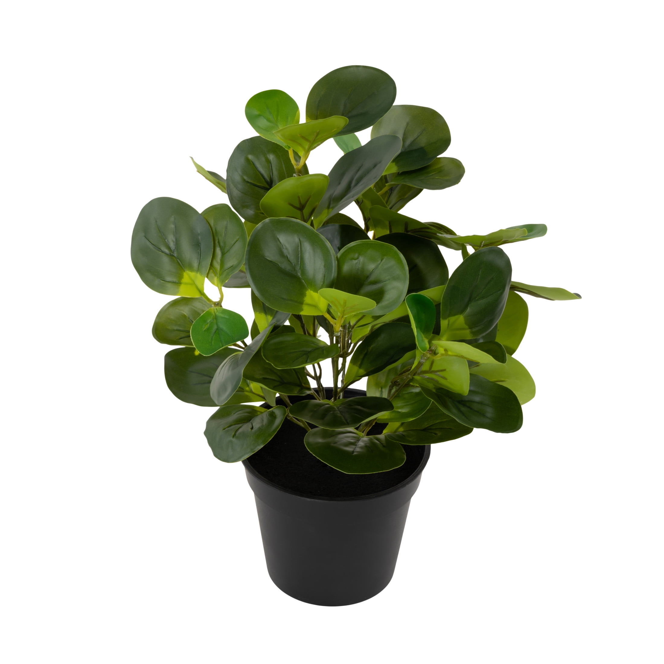 DecMode 13" Artificial Eucalyptus Plant in Realistic Leaves and Black Round Pot