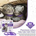 thumbnail image 4 of Portable Pet Calming Collars Long Lasting Stress Anxiety Relief Pet Neck Accessories for Cats Dogs(3pcs), 4 of 8