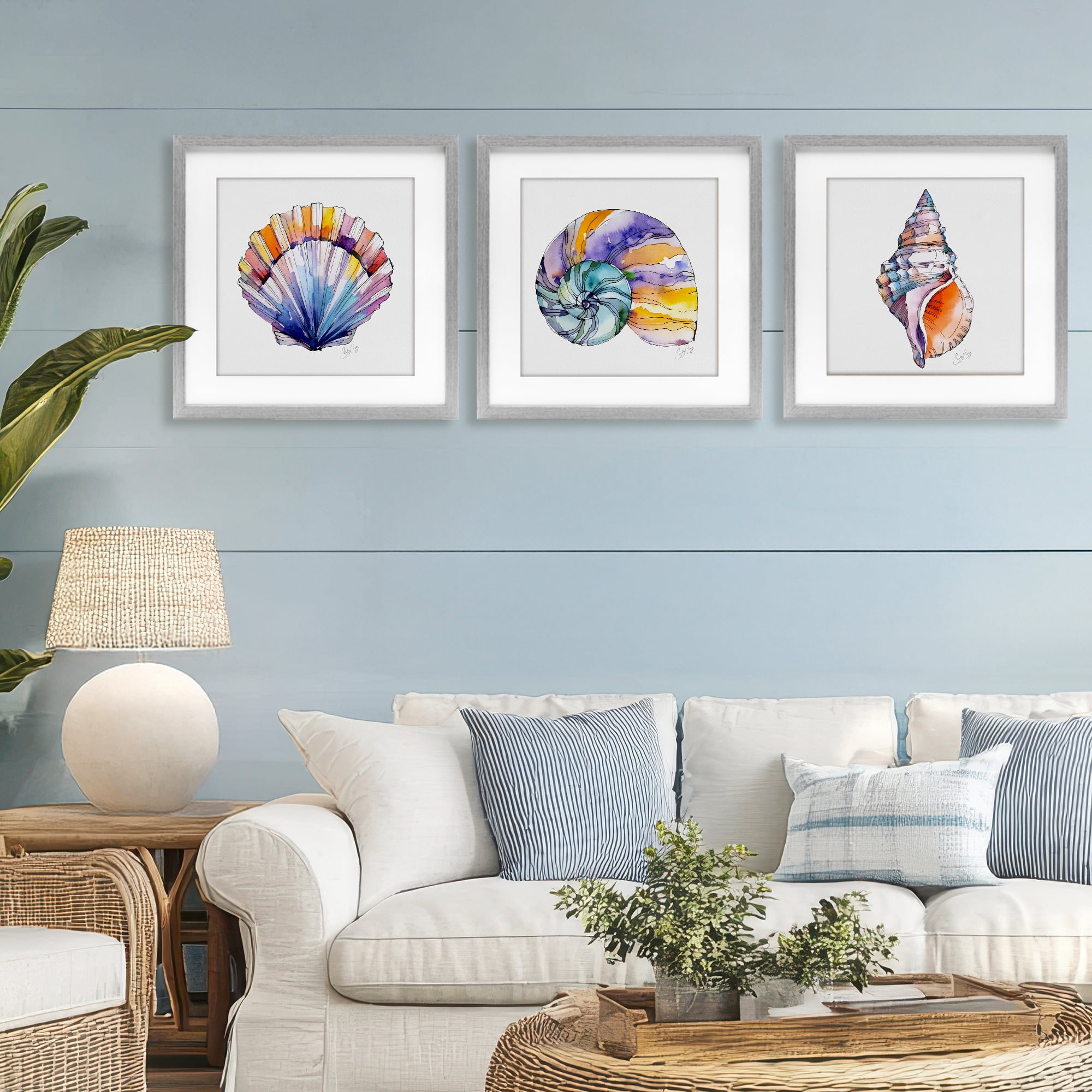 Stupell Industries Sunlit Seashells Watercolors 3 Piece Gray Framed Print Under Glass Set, design by Shelly Craig