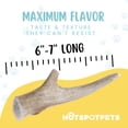 thumbnail image 3 of HotSpot Pets Deer Antlers for Dogs - Large Naturally Shed Antler Chews, Promotes Dental Hygiene, Made in USA, 3 of 8