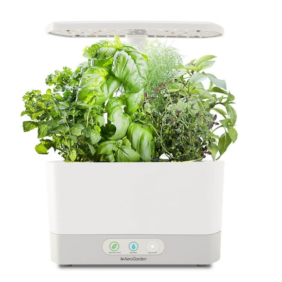 AeroGarden Harvest blanc avec kit de capsules de semences Fines herbes