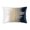 Ivory Navy, variant on Cloud9 Design Mira Ivory Aqua Velvet Pillow, 20"X14"