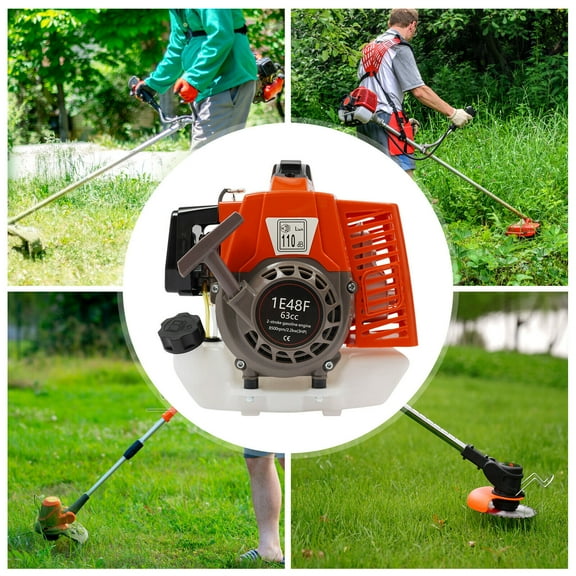 2 Strokes Petrol Motor Gasoline Engine 63CC Air-Cooled Single-Cylinder 1L Engine