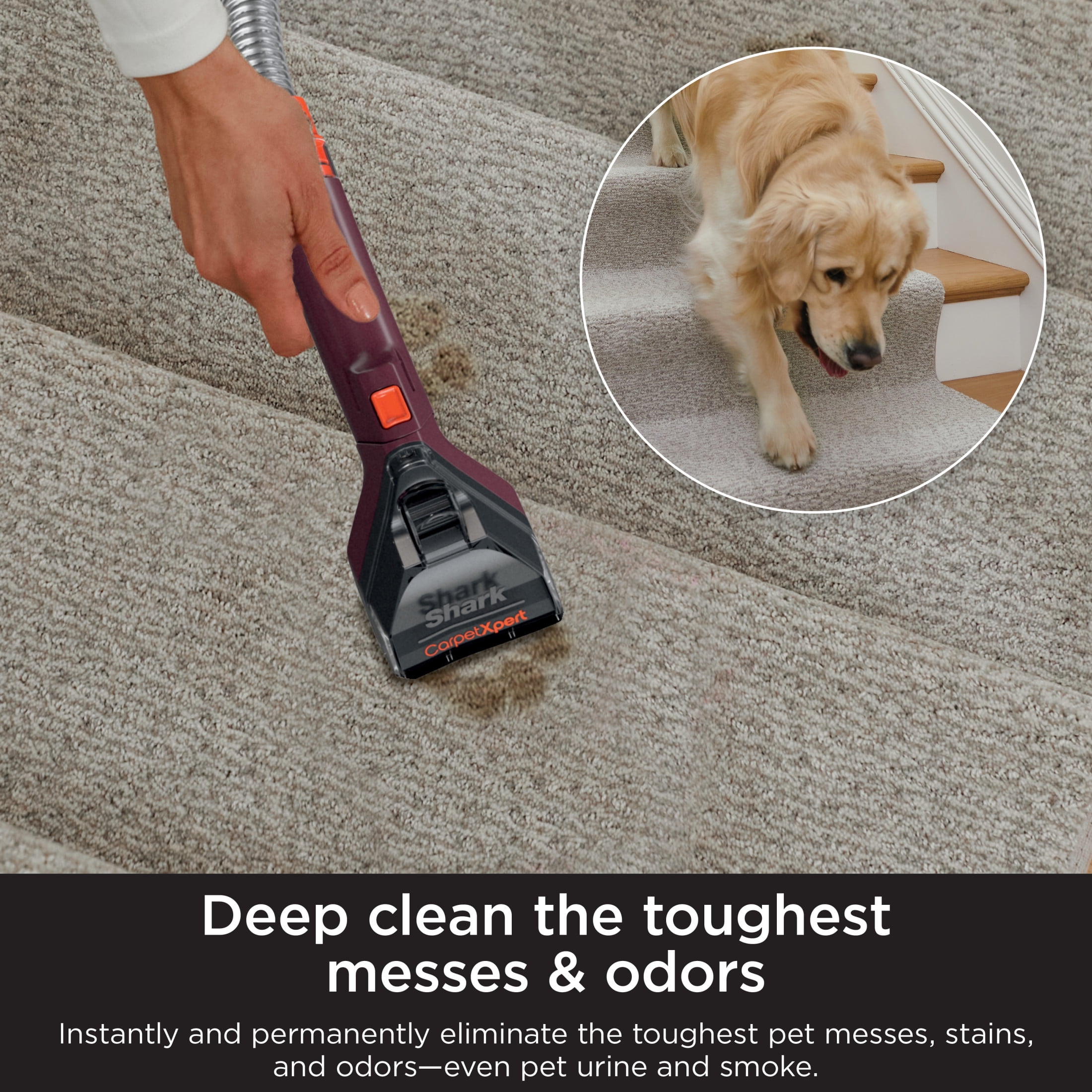 Shark Deep Clean Carpet Cleaner, 32oz Essential Formula, Fresh Scent - Use With Shark CarpetXpert Deep Carpet Cleaners