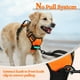 thumbnail image 5 of Arnés para perros Rabbitgoo, sin tirones, ajustable para perros pequeños, 5 of 8