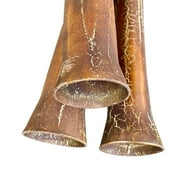 Hand-fired Modern Didgeridoo - Beeswax Mouthpiece - Easy Player! - Key of D