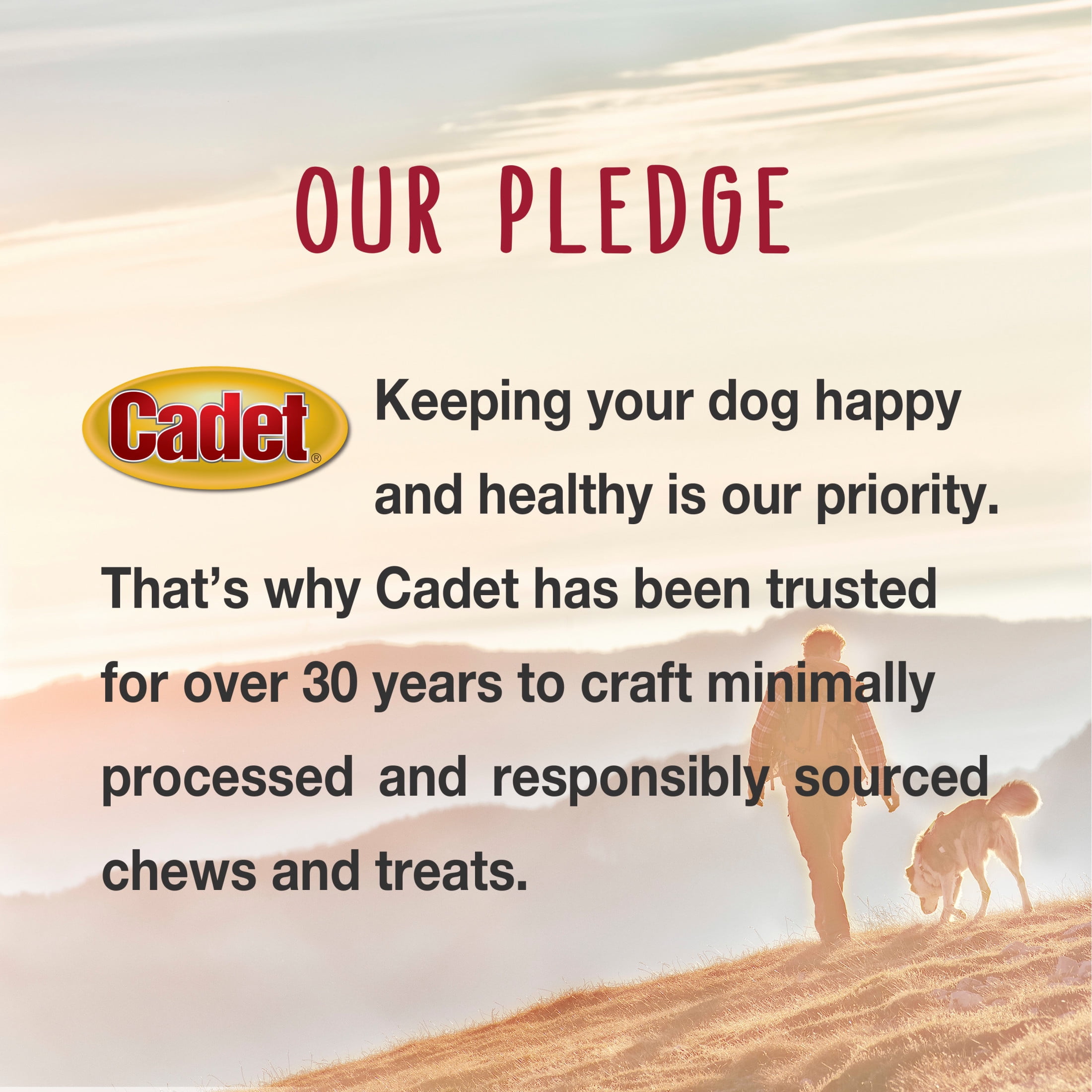 Cadet Gourmet Chicken & Apple Wrapped Dog Treats 28 Ounce (Pack of 1)