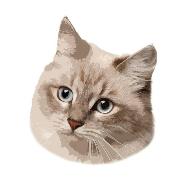 Custom Pet Portrait Rug Personalized Dog Rug Cat Door Mat Bedroom Floor Carpet; T5D1
