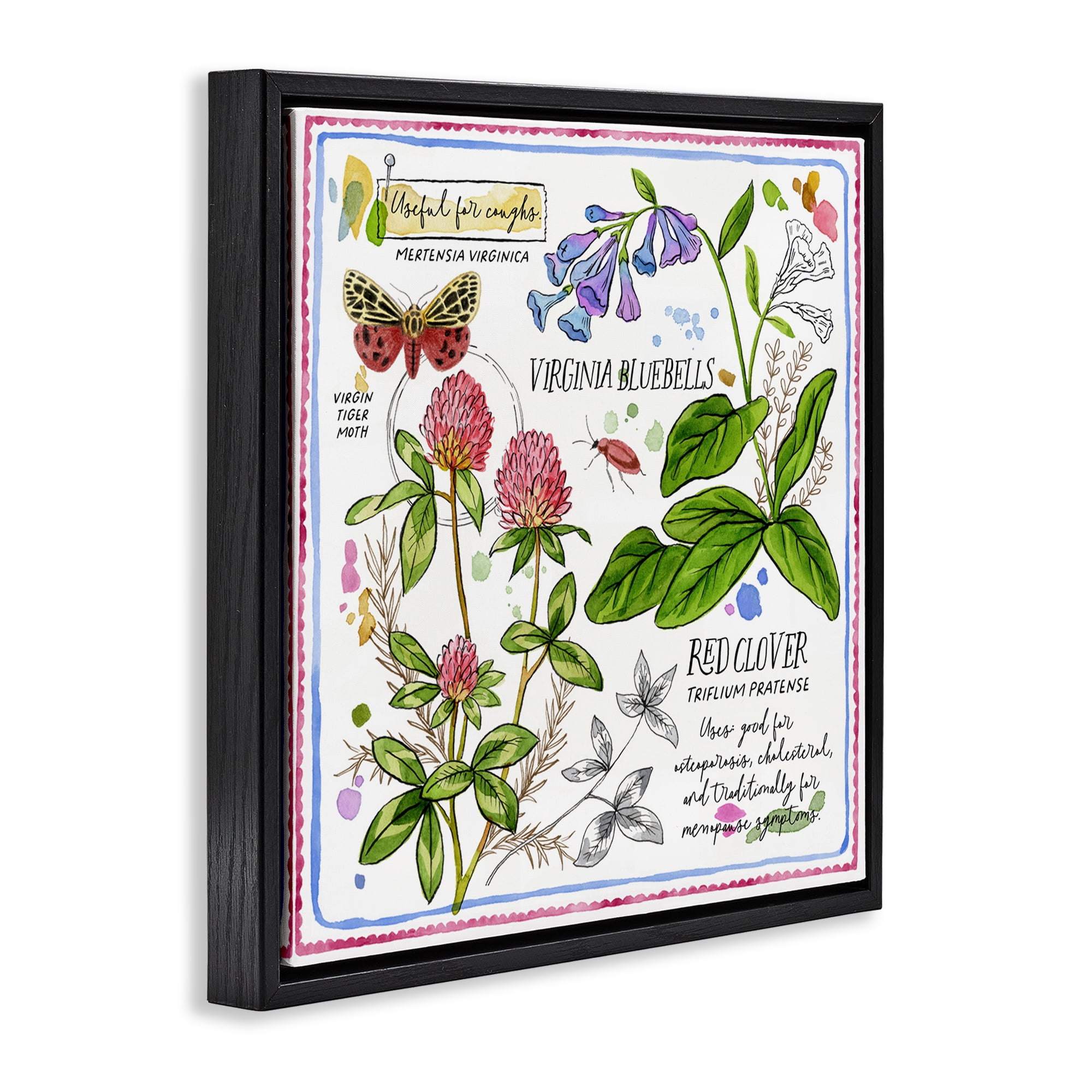 Stupell Industries Wild Herbs Diagram Plants & Flowers Painting Black Floater Framed Canvas Art Print Wall Art, 25 x 25