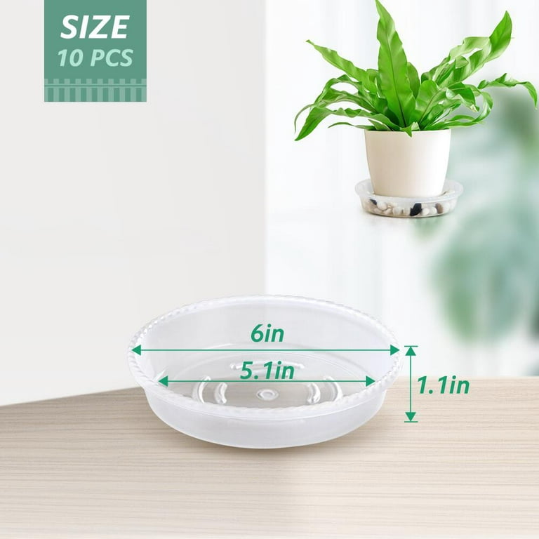  nerhemg Plant Saucers, 10pcs Clear Flower Pot Tray Drip Trays  Plant Plate Dish with Plant Label for Indoor & Outdoor Plants (6 inch /  8inch / 10inch / 12inch) 8Inch 