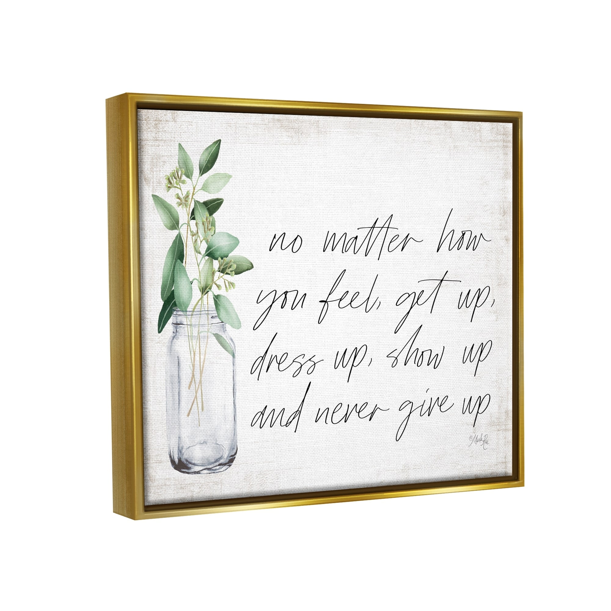 Stupell Industries No Matter How You Feel Never Give Up Inspirational Plants in Mason Jar Metallic Gold Framed Floating Canvas Wall Art, 16x20, by Marla Rae