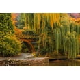 thumbnail image 2 of Schwartz, Don 24x17 Black Ornate Wood Framed with Double Matting Museum Art Print Titled - Willows Over the Pond, 2 of 4