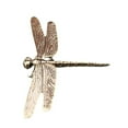 thumbnail image 5 of Dragonfly Statue Animal Figurine Sculpture Brass Metal Craft for Home Office Desk Decor for Art Lovers, 5 of 7
