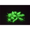 thumbnail image 5 of Vogacara 12 Uds. De insectos luminosos de terror para Halloween, arañas, ciempiés, modelos de animales, juguetes divertidos y engañosos para Juguetes novedosos y de broma, 5 of 5