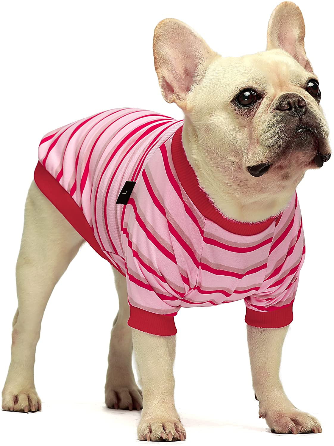 Fitwarm 3 Pack Color Block Striped Dog Shirt, Summer Dog Clothes for Small  Dogs, Breathable Lightweight Pet Tshirt with Sleeves, Cat Outfit, Oliver