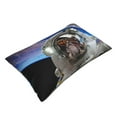 thumbnail image 3 of Balery Astronaut In Outer Space Pillow Covers,Bed Pilowcases,Reversible Plush Throw Pillow Covers End Pillow Encasement,Pillow Case - 14"X20", 3 of 9
