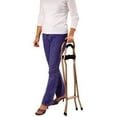 Essential Medical Supply Endurance 4 Leg Folding Seat Cane