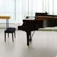 thumbnail image 1 of OHOIOLLA Cubierta Elástica Para Banco De Piano De Material Resistente Y Uso Práctico, 1 of 7
