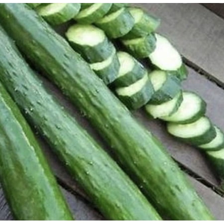 Cucumber Garden Sweet Burpless 10- 3.5” pots WHOLESALE