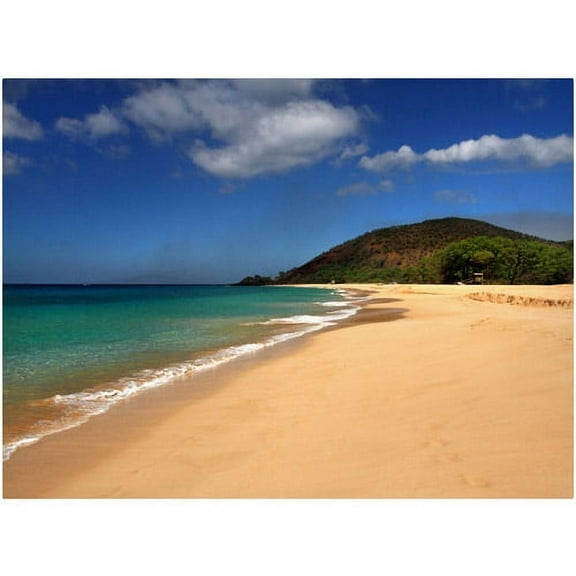 Trademark Fine Art "Makena Hawaii" Canvas Art by Pierre Leclerc