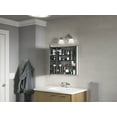 thumbnail image 4 of Kohler K-81145-DA1 24 x 20 in. Maxstow Medicine Cabinet - Dark Anodized Aluminum, 4 of 5