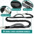 thumbnail image 4 of Hands Free Dog Leash, Dog Running Leash Belt Bag for Walking, Jogging, Dog Waist Double Zipper Pouch with Poop Bag Dispenser, Dual Padded Handles Reflective Bungee Leash, Double, 4 of 7