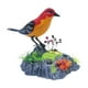thumbnail image 1 of Pájaros eléctricos cantando pájaros de pájaros escritorio de juguete accesorio accesorio interactivo Oficina activada decoración del hogar para regalo, 1 of 9