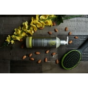 Design Essentials Almond & Avocado Moisturizing & Detangling Sulfate-Free Shampoo - 12oz., Adult