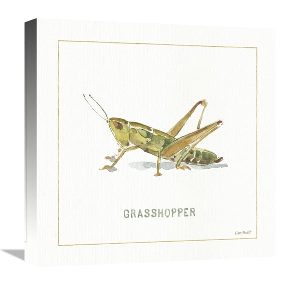 Global Gallery's 'My Greenhouse Grasshopper' By Lisa Audit Stretched Canvas Wall Art