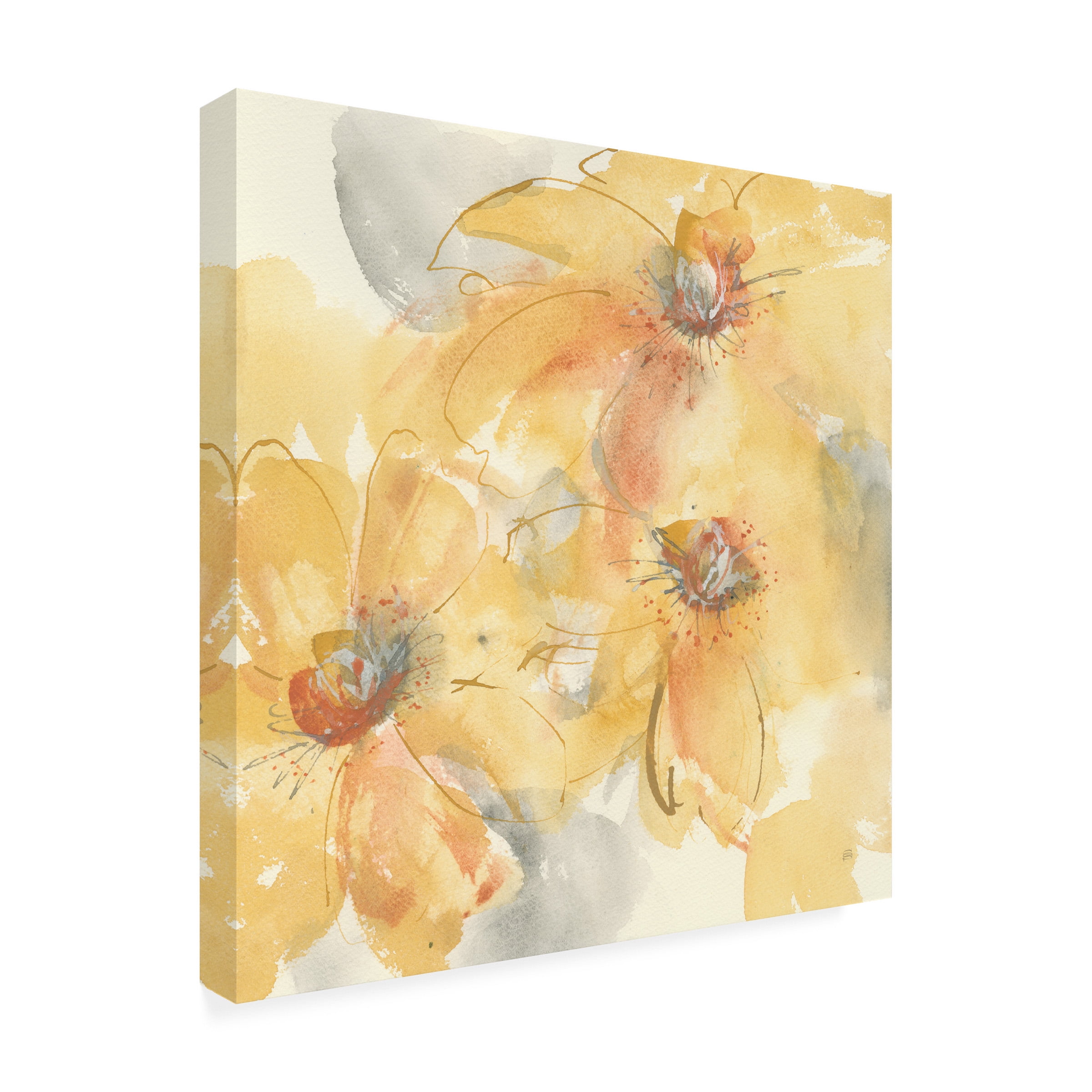Chris Paschke 'Golden Clematis II' Canvas Art