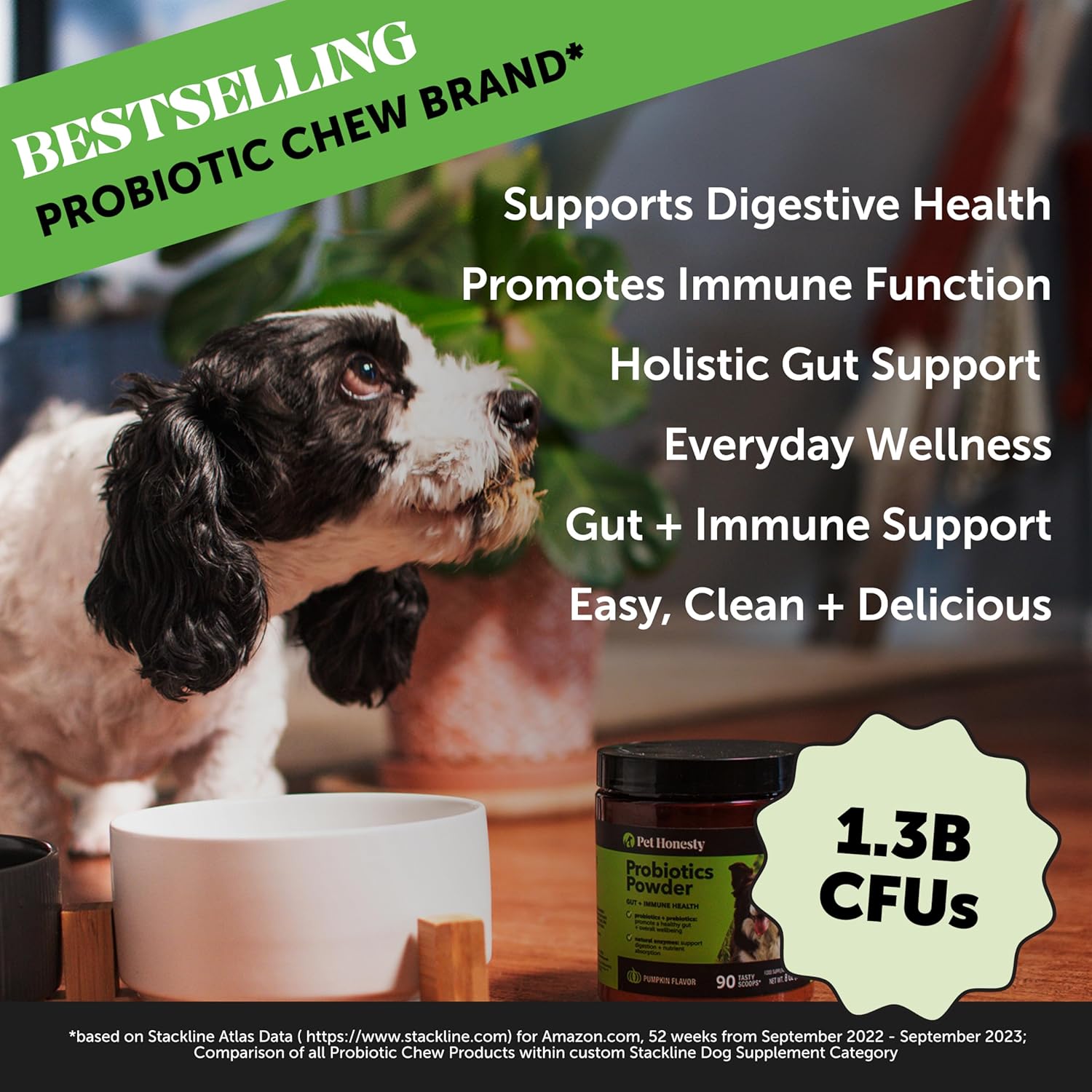 Pet Honesty All-Natural Probiotic & Pumpkin Powder Dog Supplement - Prebiotics, Probiotics, Enzymes & Antioxidants for Healthy Gut Flora, Digestion & Immunity (90 Scoops)