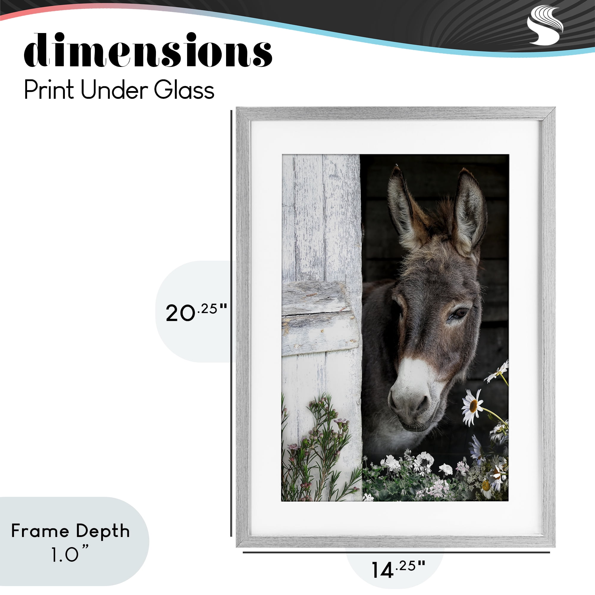 Stupell Industries Gentle Donkey Peering from Barn Gray Framed Print Under Glass, design by CAD Designs