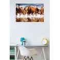 thumbnail image 2 of Horses Wall Poster, 22.375" x 34", Framed, 2 of 2