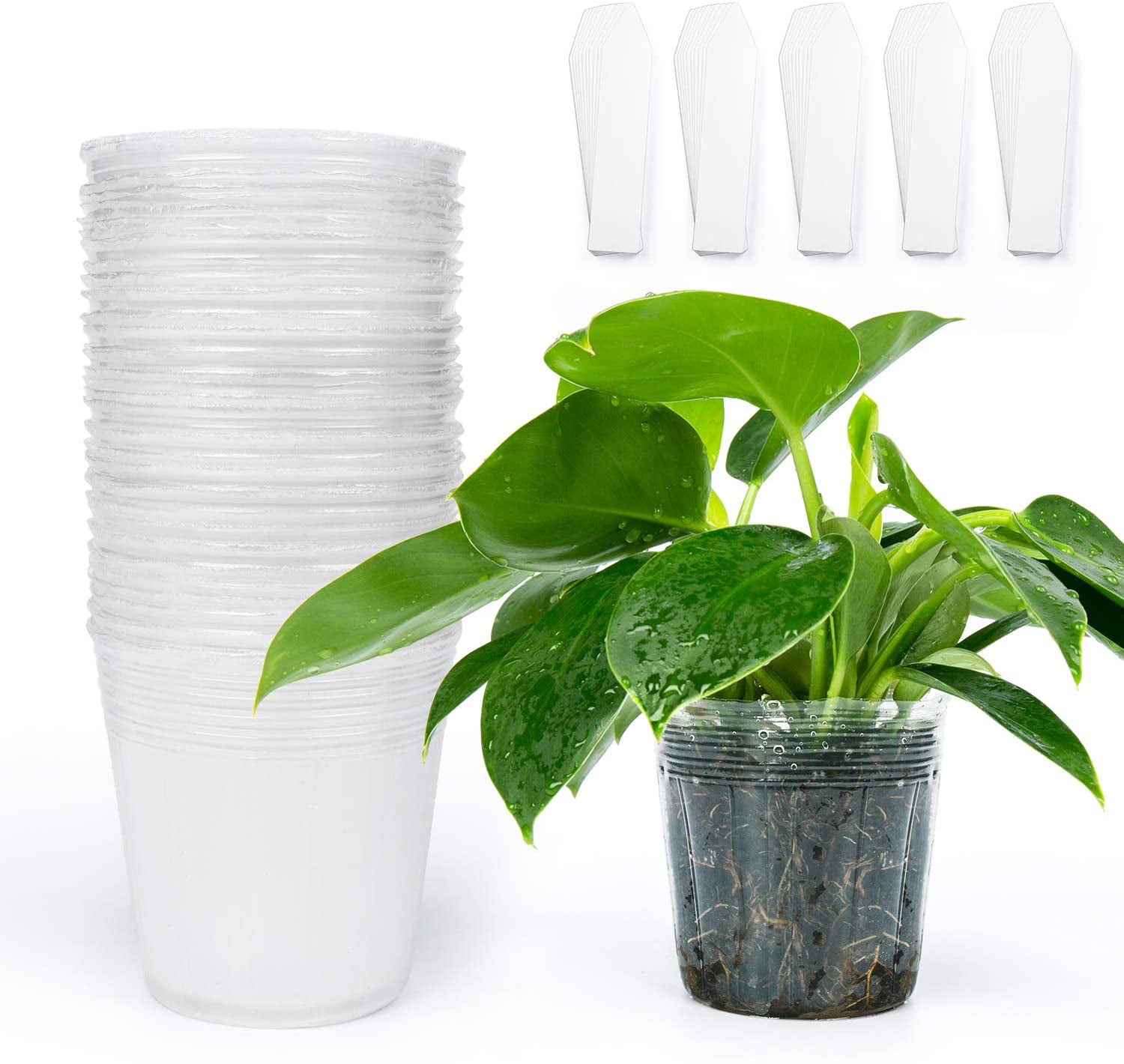 Details about   Oubest Plastic Plant Nursery Pots 4" 50 Pcs Reusable For Seed Starting Seedlings 
