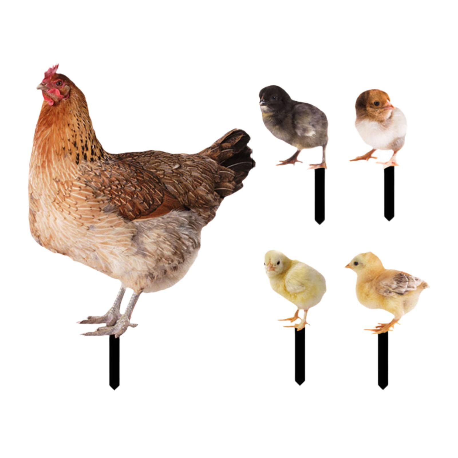 simhoa 5Pcs Hen Statue Garden Stakes Chicken Figurines Ground Insert Yard Sign Yard Art Animal Sculptures for Lawn Patio Floor Decor