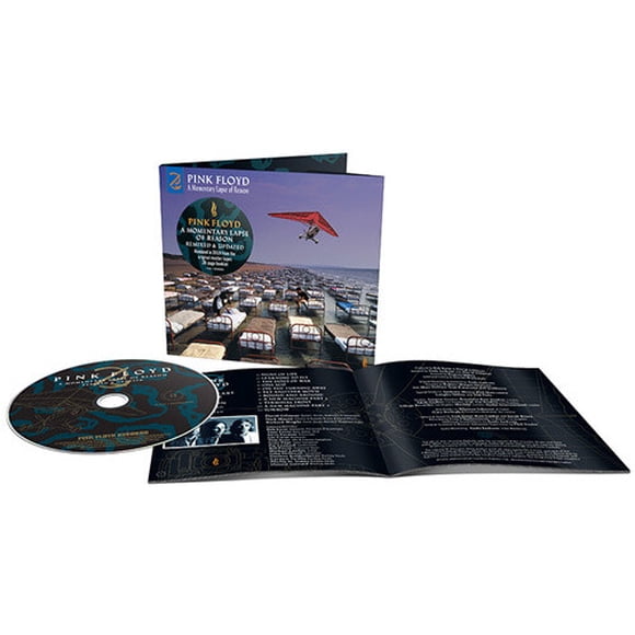 A Momentary Lapse Of Reason