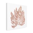 thumbnail image 2 of Wild Apple Portfolio 'Pacific Sea Mosses XIV White Sq' Canvas Art, 2 of 3