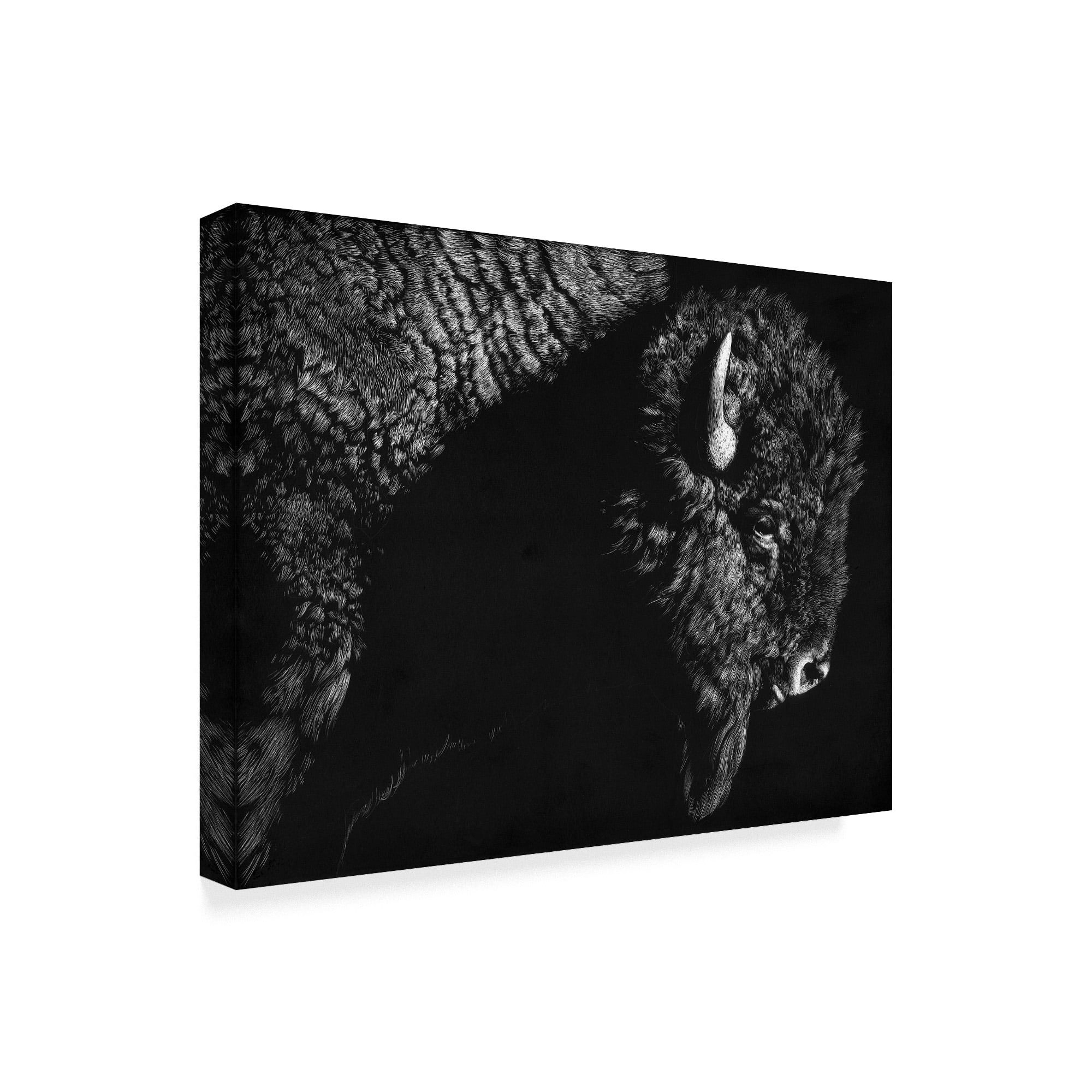 Trademark Fine Art 'Enduring II' Canvas Art by Julie T. Chapman