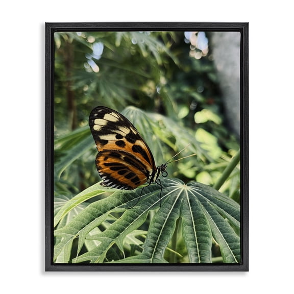 Stupell Industries Rustic Lodge Monarch Butterfly on Leaf Black Floating Frame Canvas Art, 25 x 31, by Lil' Rue
