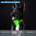 thumbnail image 2 of Luz de seguridad LED intermitente para perros y gatos - Luz LED recargable por USB para mascotas, 3 modos de parpadeo, luces de seguridad impermeables para mascotas, 2 of 5