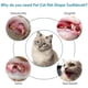 thumbnail image 3 of Juguete dental para gatos TANGJMXG molar de silicona interactivo, 3 of 4