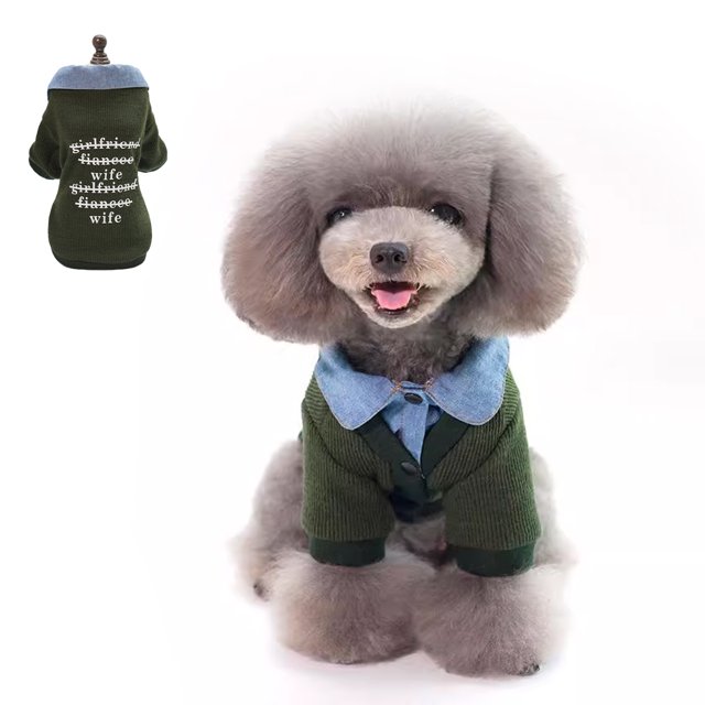 Sudadera de punto para perros con retazos para mascotas, ropa de invierno cálida para gatos para días fríos (verde)