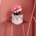 thumbnail image 3 of 1pc Cat Shaped Glass Vase Home Flower Vessel Desktop Vase Decor (Transparency), 3 of 5