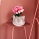 thumbnail image 2 of 1 unid gato en forma de gato jarrón de vidrio casero florero de escritorio florero de escritorio (transparencia), 2 of 7