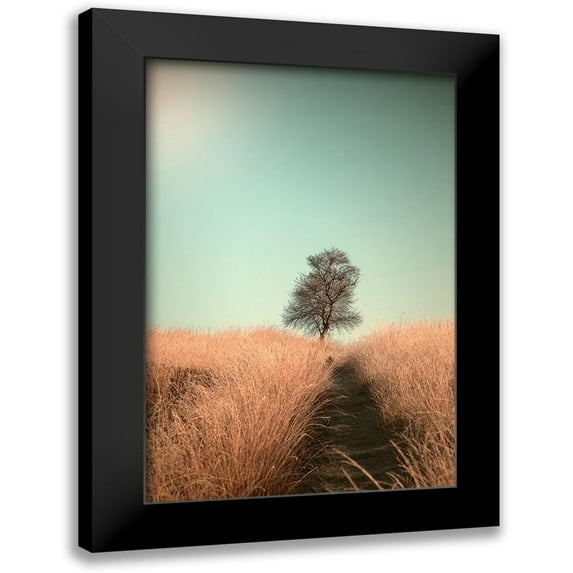Van Den, Jaap 11x14 Black Modern Framed Museum Art Print Titled - Grass and Path