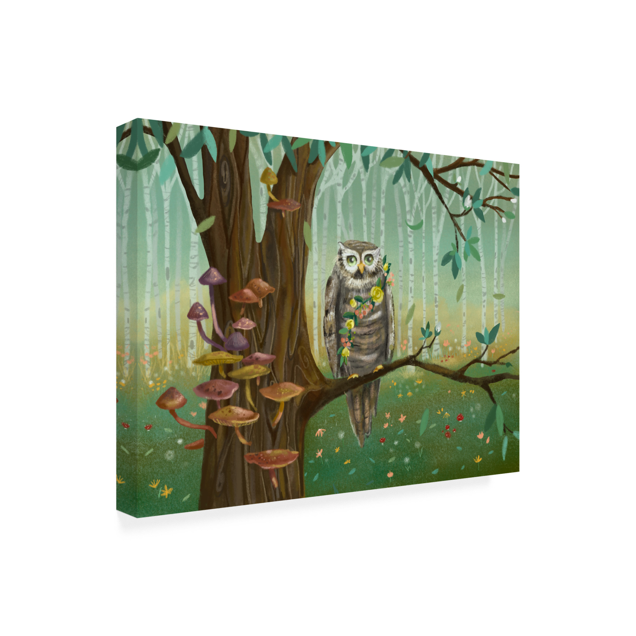 Canvas Wall Art - Christine Rotolo 'Forest Animals Owl' Wall Art for Living Room, Bedroom, or Office Décor by Trademark Fine Art - 32 x 24 Inches