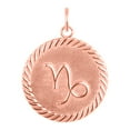 thumbnail image 3 of Reversible Capricorn Zodiac Sign Charm Coin Pendant Necklace in Solid Gold (16 Inches), 3 of 4