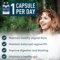 thumbnail image 2 of Vaginal Probiotics for Women - 19Bil CFU,15-Strain Lactobacillus Probiotic for PH Balance, Urinary Tract Support, Odor & Yeast Health - Balance Complex for Women BV Support - 30 Vegan Caps, 2 of 5
